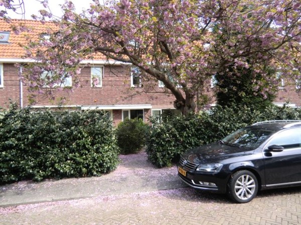 Medium property photo - Heemraadschapslaan 10, 1181 VB Amstelveen